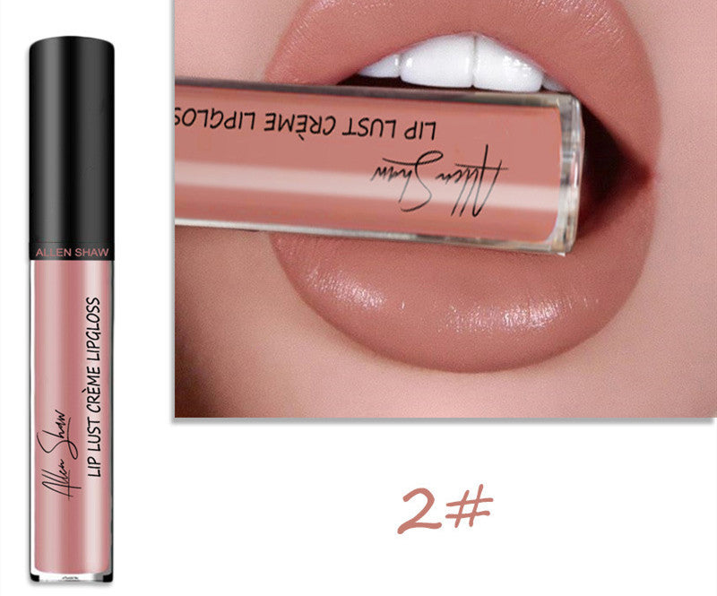 Silky Cream Lip Gloss – Viral Soft-Glaze Finish for the “Clean Girl” Look - Tiff's Treasures