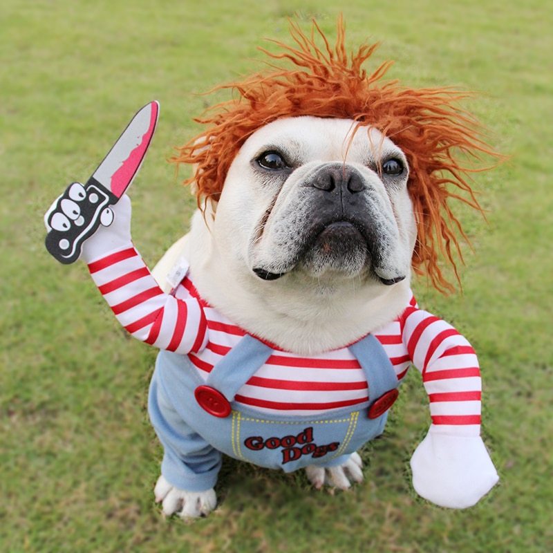 Dog Halloween Costume - Tiff's Treasures